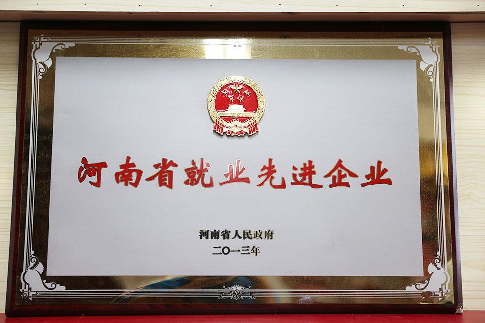 河南省就業(yè)先進(jìn)單位